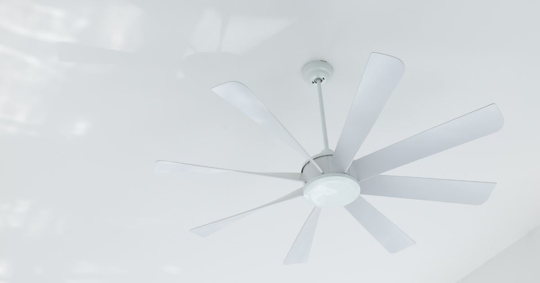 ceiling fan