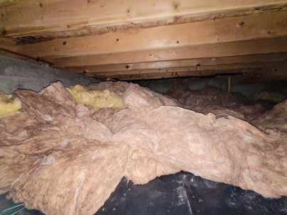 Crawl space under typical american house.